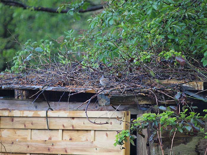 vogelwanderung02-2016