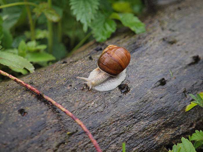 vogelwanderung03-2016